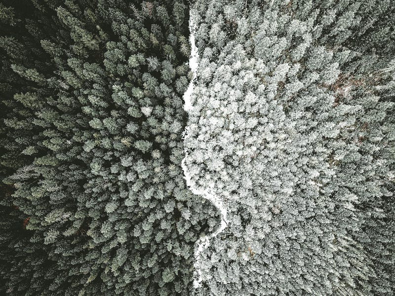 Photo by Anthony Intraversato on Unsplash